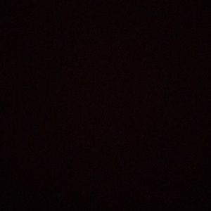 Meet your Posher, Trevor